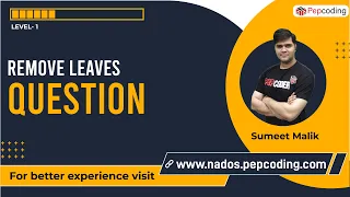 Remove Leaves Question Binary Tree Data Structures and Algorithms in JAVA