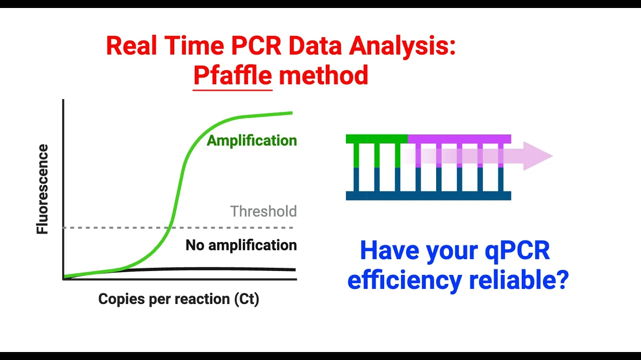 Real Time PCR data analysis using Pfaffle method | step-by-step tutorial |