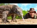 Coyote Peterson vs Komodo Dragon Dangerous Face-Off
