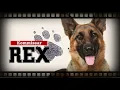 Download Lagu Kommissar Rex Theme 12 minutes (Kathy Sampson  A Good Friend)