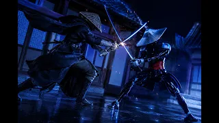 Swordsman Stop Motion fight