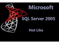 SQL Server 2005 Lesson - NOT LIKE Statement