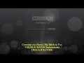 Common con Havoc- The Bitch in Yoo(subtitulado) HAVOC REMIX DISS A ICE CUBE & WESTSIDE CONNECTION