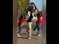 Nthabi Sings - SBWL ft Onesimus Dance Moves Compilation