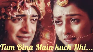  tum bina main kuch nhi hun radhike priya radhakrishna sad love song lotusvision97 