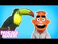 Bird Song for Kids