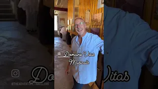 Wine tasting at @domaine_vitis_musicalis on the Lavaux vineyard terraces in Lausanne, Switzerland.