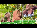 Download Lagu PINAT VLOG🧚🏻‍♀️#4: BERKEBUN DI LOTENG RUMAH?🧐🥬🍅