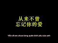 Quyết Định Cuối Cùng - Vương Mặc Quân【最後的決定 - 王默君】