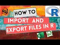 How To Import and Export Data Files in R