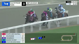                                           دندنها