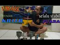 Download Lagu BONGKAR rahasia rawatan burung prenjak KILLER milik om mumu PBS(prenjak banyumas satria)....