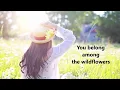 Tom Petty    Wildflowers (with lyrics)