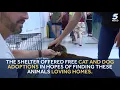 OKC Animal Welfare holds free adoption day