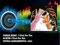Chaka Khan - I Feel For You  (Radio Version)