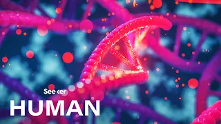this is how your dna made you