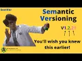 Semantic Versioning Those numbers have important meaning