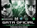 Gata Oficial - Arcangel Ft Lui-G 21 Plus