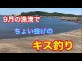 Download Lagu 9月の漁港でちょい投げのキス釣り 三河湾