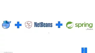 Spring in Docker with Netbeans