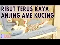 Download Lagu MANDRA SAMA MAS KARYO GA PERNAH AKUR| DI BALIK