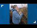 Authorities seek info on dogs shot left for dead in eastern Oregon