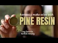 How to harvest pine resin and make an anti-microbial salve