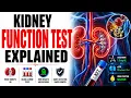 Kidney Function Test KFT Explained in 3D How Doctors Detect Kidney Disease with Blood Urine