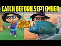 Catch Before September ACNH August Fish ACNH Bugs ACNH Sea Creatures August Fish ACNH