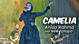 Download ANISA RAHMA feat New Pallapa - CAMELIA | Live in OAOE Festival, Ecopark Ancol ❤️‍🔥 MP3