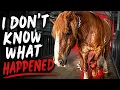 Roman is Hurt