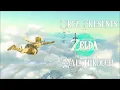 Legend of Zelda Tears of the Kingdom - North Tabantha Snowfield Geoglyph Gameplay Walkthrough