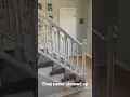 Warning Don t hire Dazzling Cleaning They never showed up