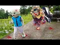 Download Lagu IPlIN DI TERROR BARONG BANGKUNG?!
