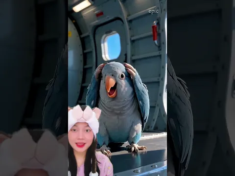 Gak punya parasut⁉️epicraaven