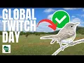 Finding RARE Birds in the Midwest