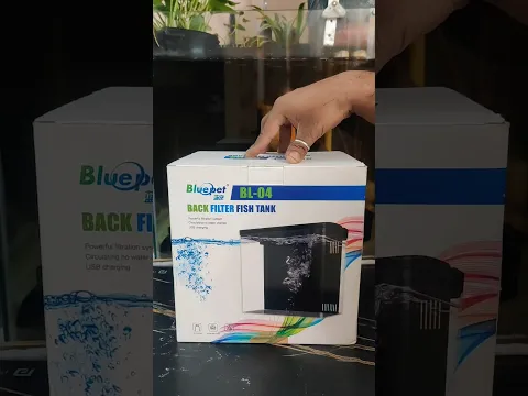Best Aquarium Tank for Betta Fish 🐠🐟 #shorts #bettafish