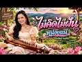 #ไม่คิดไม่ฝัน_หน่อยแน่ #cover #lyrics | คำร้อง : ธนะพัฒน์ มธุรส