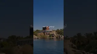 لو صاحبى على عيبه Shorts 