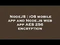 NodeJS iOS mobile app and Node js web app AES 256 encryption