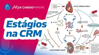 Quais os estágios na Sd CRM?