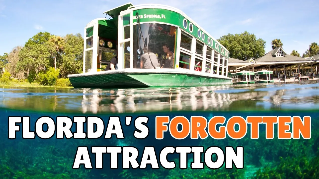 What Happened to Silver Springs?: video thumbnail