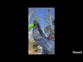 How to Assemble Athletic Works 7 x 7 Hit Pitch Net