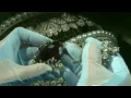 $100 mln Russian diamond crown. How royal jewelry was made. Бриллиантовая корона Алмазный фонд