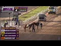 SMALL TOWN HEROINE Placed Third 3rd After Encountering Interference at Evangeline Downs
