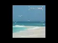 Kenichiro Isoda (磯田健一郎) - Pliocene beach (プリオシンの浜辺) (Full Album)