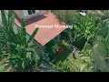 Download Lagu Zomer in de Kleine Tuin | Een dagje schoonmaken en een koel dessert maken