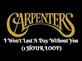 CARPENTERS - I WON'T LAST A DAY WITHOUT YOU | (1 HOUR LOOP) | 1시간