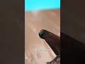 Download Lagu How Crickets Regrow Their Legs 😮