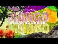 Download Lagu [UNREAL] MaNGOoMaNGO // Regrind Stream #5